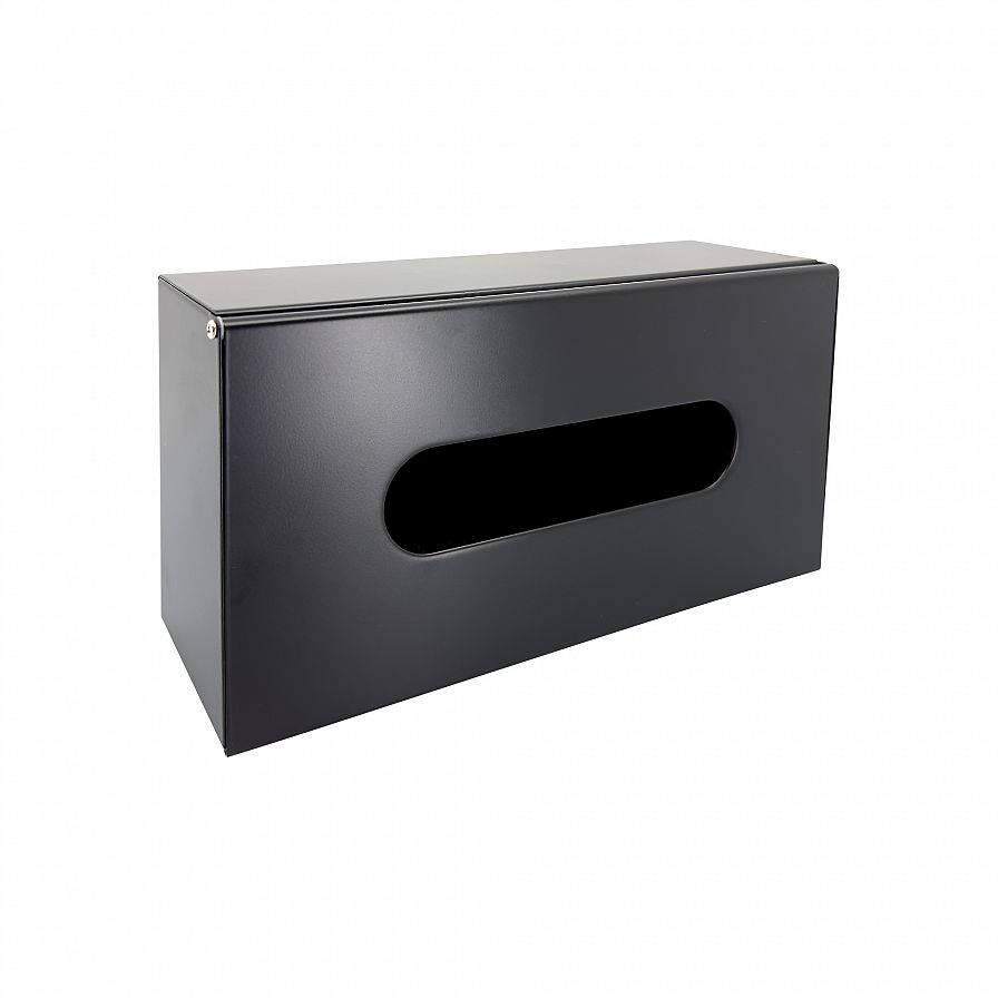 Paper towel dispenser